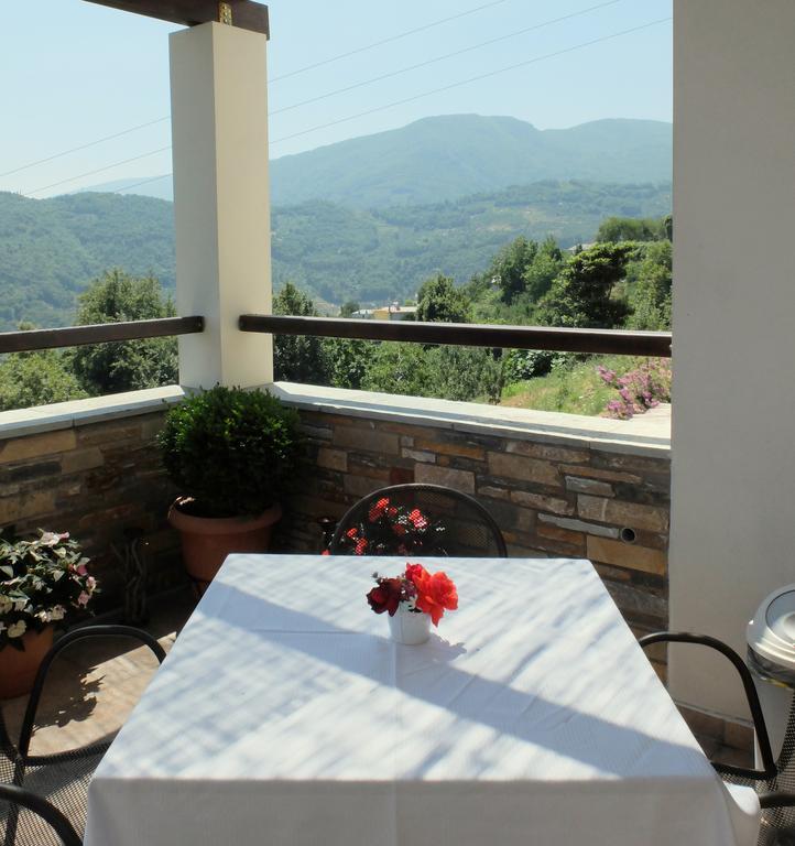 Guesthouse Kapaniaris Загора Экстерьер фото